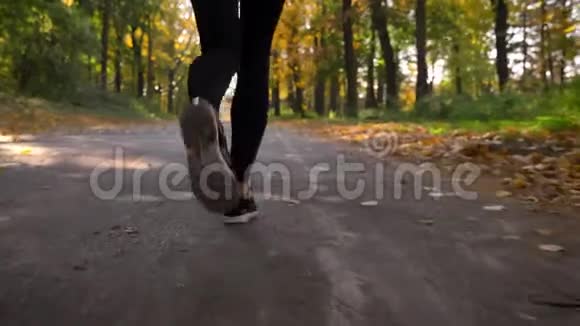 从下到上的多利镜头在秋日森林中慢跑的穆斯林女孩头戴头巾的后景视频的预览图