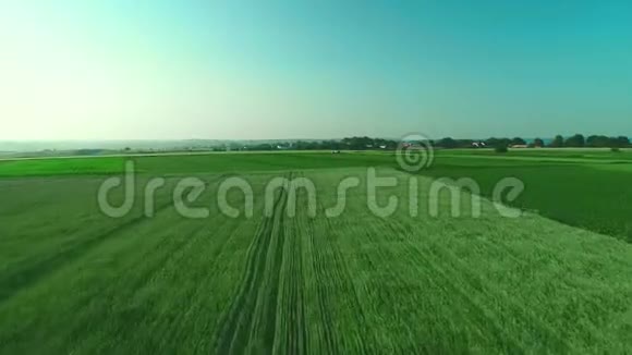 鸟瞰全景低矮的视野覆盖着一片长草的绿色景观4K视频的预览图