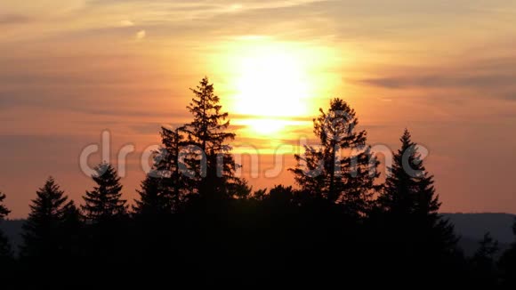 瑞士杉树上美丽的日落视频的预览图