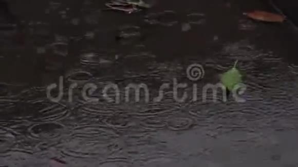 季风雨落下视频的预览图