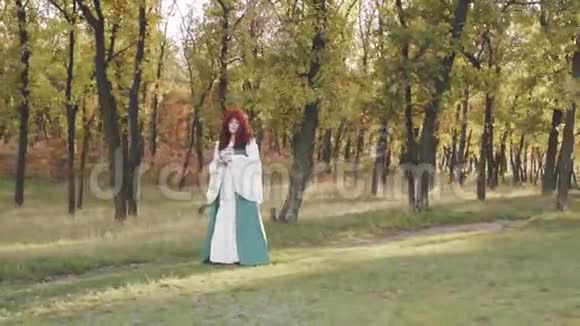 红发可爱胖嘟嘟的大女巫在夕阳的余晖中呼唤小妖精和小绿爱德博夫的黄昏视频的预览图