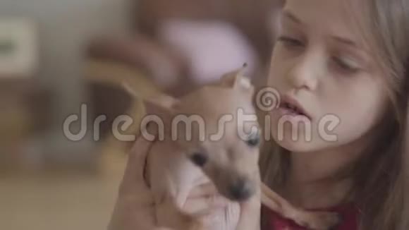 特写肖像小漂亮快乐的女孩抱着一只可爱的吉娃娃小狗和他在客厅里玩视频的预览图
