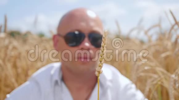 一个秃顶的人坐在麦田里手里拿着一只麦穗对着他吹关门视频的预览图