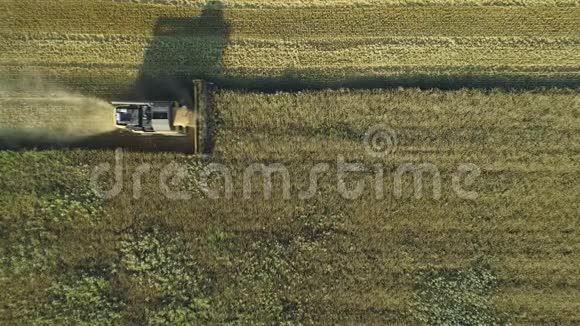 空中无人机镜头顶部仍然拍摄联合收割机收集小麦收割粮田美丽美丽视频的预览图