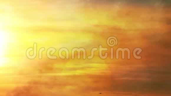 夕阳的金色光芒云彩在移动鸟儿在天空中飞翔视频的预览图