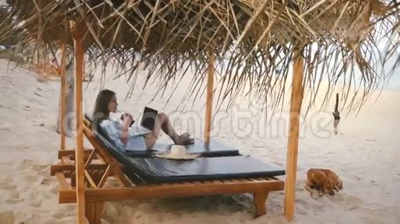 美丽的背景拍摄成功的女性自由职业者享受饮料与笔记本电脑在休闲椅在异国海滩视频的预览图