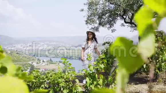 在山上的藤蔓植物之间行走的漂亮女孩视频的预览图