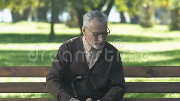 善良的祖父向鸽子扔面包在公园喂鸟退休了视频的预览图