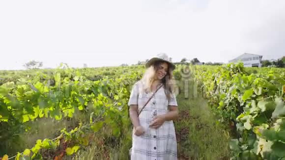 微笑的女人走在背光的葡萄园里视频的预览图
