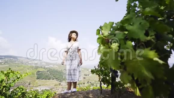 在山坡上的藤蔓植物之间的女人视频的预览图