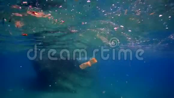 海洋在清澈的海水中肮脏的塑料袋漂浮着视频的预览图