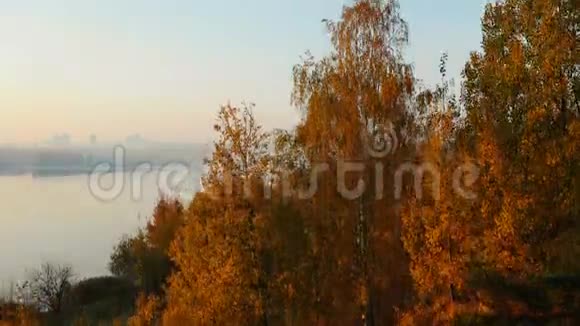 无人机在秋树之上升起露出史诗般的静日落湖远处的大城市建筑天际线晴空全景视频的预览图