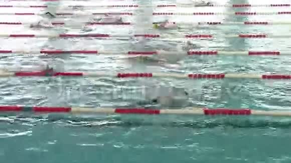 游泳运动员比赛视频的预览图