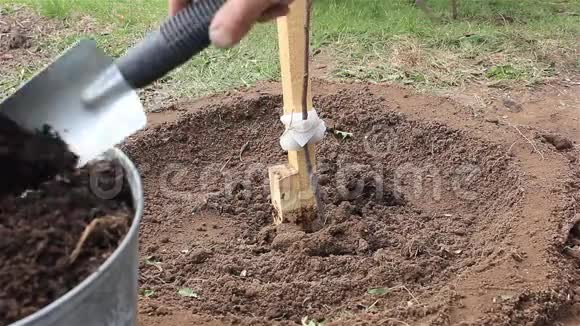 农民绑在支撑树树苗上用堆肥施肥视频的预览图