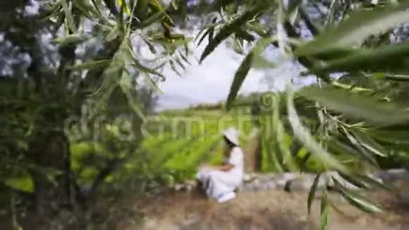 坐在树下的女人坐在山上的藤蔓植物的田野里视频的预览图