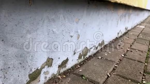 破坏房屋立面灰墙石膏视频的预览图