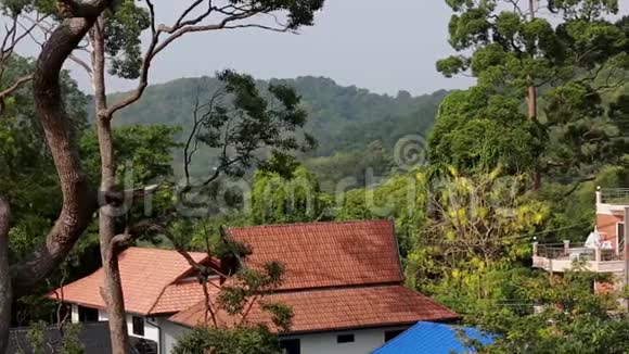 泰国普吉岛阳光明媚的白天亚洲城市彩色房屋和屋顶树木和天空的景色视频的预览图
