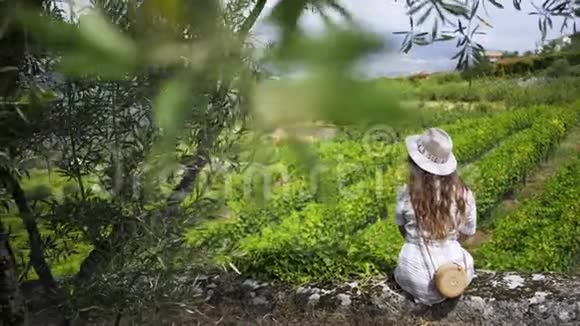 戴帽子的女孩坐在树下的藤蔓植物视频的预览图
