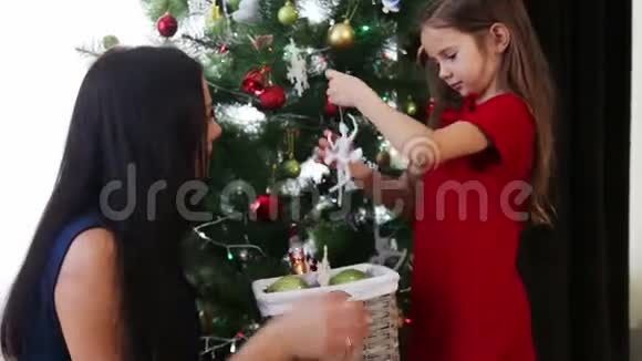 庆祝圣诞节和新年的一组视频视频的预览图