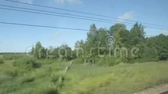 高速列车在夏天经过一片树林和一片田野视频的预览图