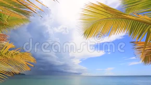 棕榈叶勾勒出蓝色泻湖的景色视频的预览图