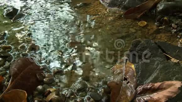 缅甸森林山谷的泉水视频的预览图