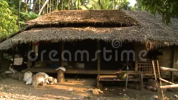 缅甸掸邦传统村舍视频的预览图