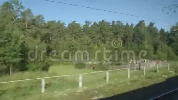 夏天高速列车驶过森林和小房子视频的预览图