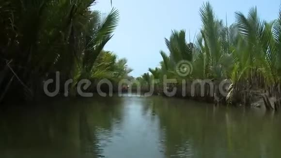 缅甸康伊河沿岸尼帕棕榈观视频的预览图