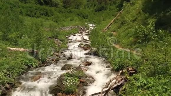 快速山河积极克服岩石急流沿着小溪徒步旅行视频的预览图