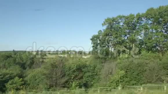 高速列车经过一排树木视频的预览图