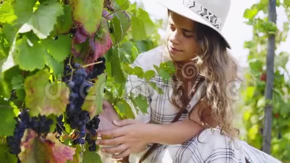 年轻女子品尝葡萄藤植物视频的预览图