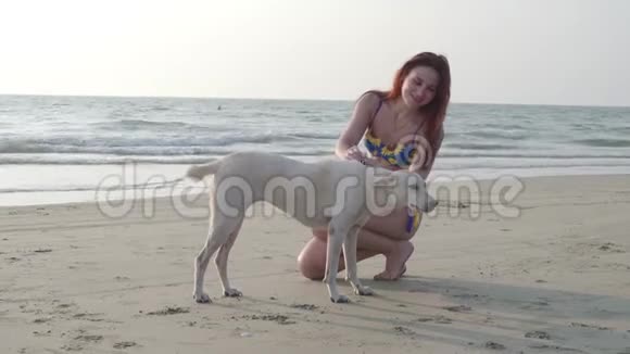 夏天一个穿着蓝色泳衣的美丽苗条的女孩在海滩上抚摸一只白色的狗4K视频的预览图