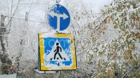 人行横道指针和行驶方向的路标蓝色允许行人穿越冬天下雪视频的预览图