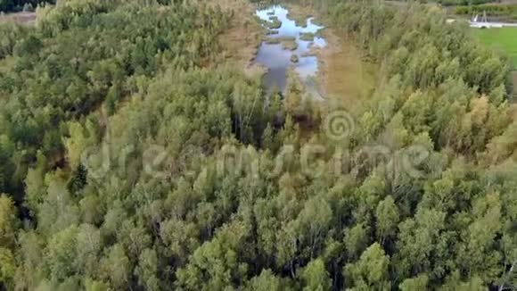 秋天飞越森林湖森林河流视频的预览图