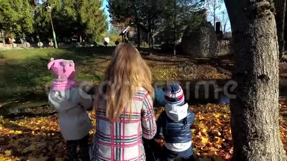 秋天妈妈带着孩子在河水上喂鸭子吃面包视频的预览图