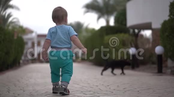 小宝宝慢动作走路到黑猫和猫从宝宝身边跑视频的预览图