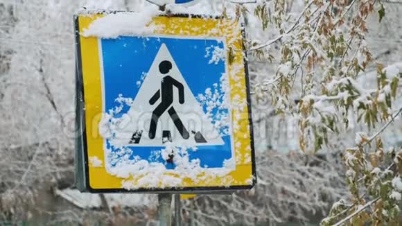 允许行人穿越人行横道指针和行驶方向的路标蓝色冬天下雪视频的预览图