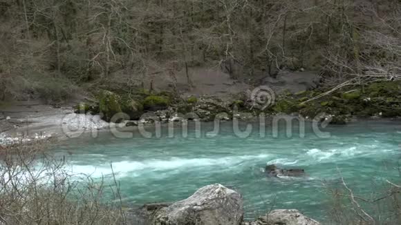 早春在阿布哈兹有清澈的蓝色水的山河视频的预览图