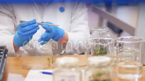 生物技术和遗传工程一名在试管中使用植物样品的女工视频的预览图