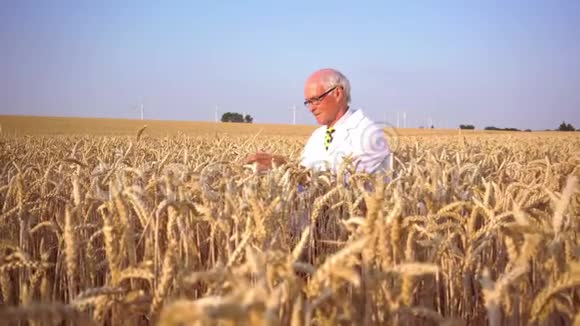 寻找新种子质量的农业科学家视频的预览图