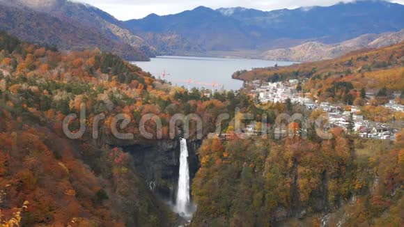 日本日经市秋树山美丽的龙瀑布视频的预览图