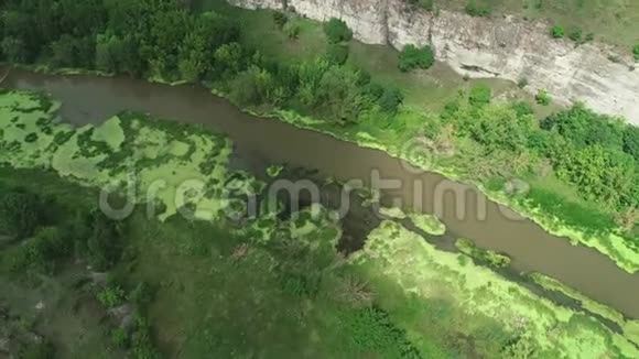 从山顶俯瞰郁郁葱葱的绿色沼泽和肮脏的河流4K视频的预览图
