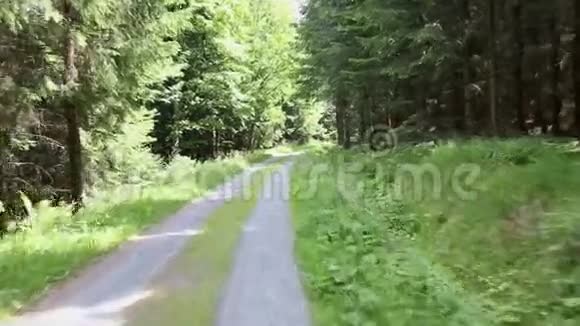 美丽的阳光森林道路步行者观景点前方摄像头卡车POV视频的预览图