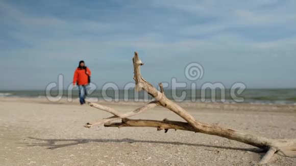 一个穿着鲜红色夹克背着一个大旅游背包的游客走过一条干燥的树枝躺在荒芜的寒冷中视频的预览图