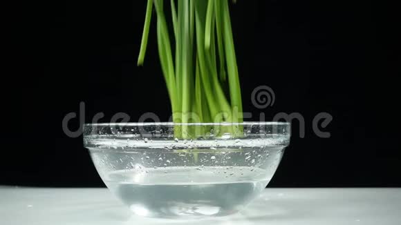 多汁的青葱掉进一杯水里有机和有益健康的食物烹饪素食沙拉视频的预览图