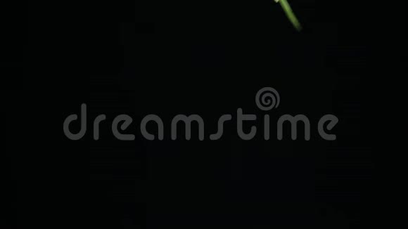 洋葱莳萝和莴苣在黑暗的背景下缓慢下落烹饪有用有机食品的概念素菜视频的预览图
