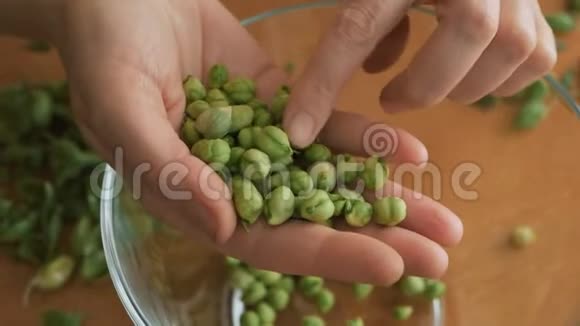 坐在桌子旁的女人拿着一粒新鲜的绿色鹰嘴豆视频的预览图