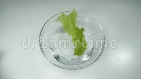 新鲜生菜在白色背景下落入清水中缓慢运动玻璃碗里的生菜叶视频的预览图