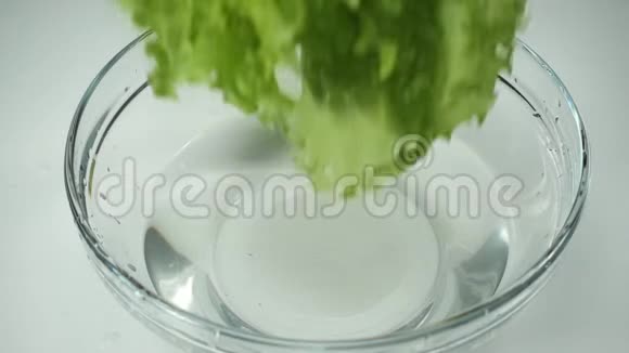 雌性手拿着新鲜的生菜叶用清水洗净青菜动作缓慢生菜放在玻璃碗里视频的预览图
